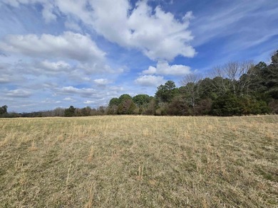 Location great for an AI generation plant. DATA CENTER?? Premier - photo 7