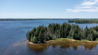 Enjoy your summers with unlimited lake access via the large - photo 31