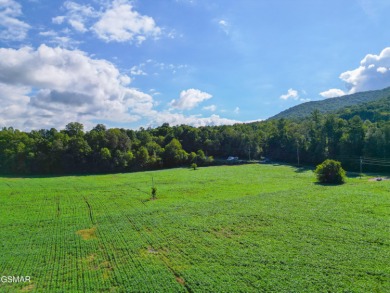 Lake Acreage For Sale in Cosby, Tennessee