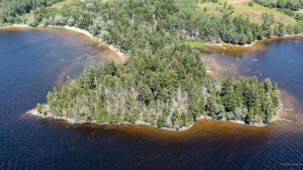 Enjoy your summers with unlimited lake access via the large - photo 44
