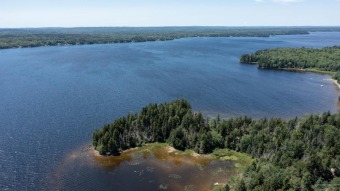 Enjoy your summers with unlimited lake access via the large - photo 47