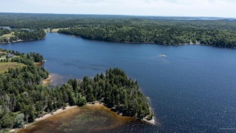 Enjoy your summers with unlimited lake access via the large - photo 49