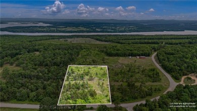 Lake Acreage For Sale in Delaware, Arkansas