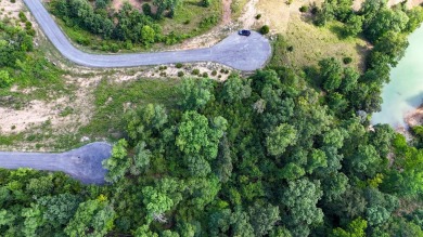 Douglas Lake Lot For Sale in Dandridge Tennessee
