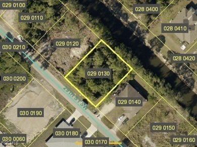 Lehigh Acres Area Lot Sale Pending in Lehigh Acres Florida