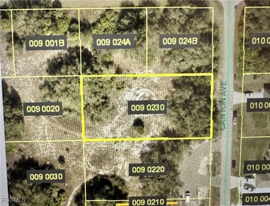 Lehigh Acres Area Lot For Sale in Lehigh Acres Florida