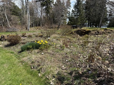 The Grace Cottage, Hermit's Point. This magnificent stuccoed - photo 50