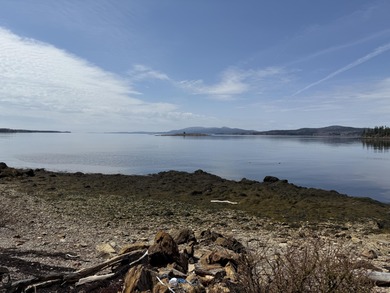 The Grace Cottage, Hermit's Point. This magnificent stuccoed - photo 54