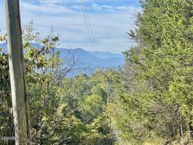 Lake Acreage For Sale in Newport, Tennessee