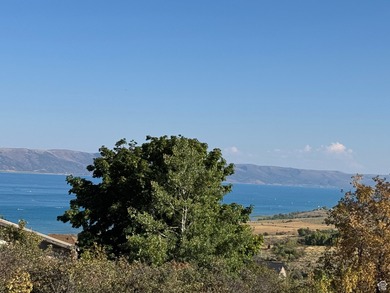 Gorgeous unobstructed Bear Lake VIEW, easy-to-build on lot in - photo 3