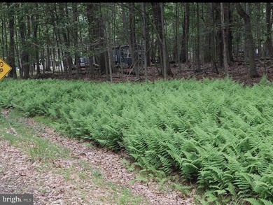 For sale is a surveyed and perc tested beautiful .8 acre lot in - photo 11