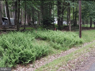 For sale is a surveyed and perc tested beautiful .8 acre lot in - photo 12
