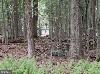 For sale is a surveyed and perc tested beautiful .8 acre lot in - photo 13