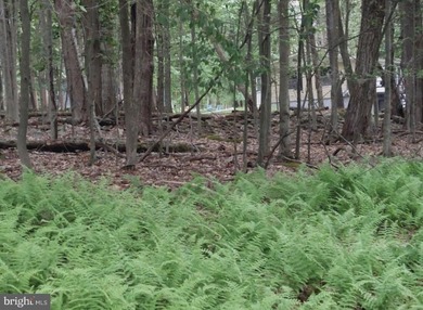 For sale is a surveyed and perc tested beautiful .8 acre lot in - photo 14