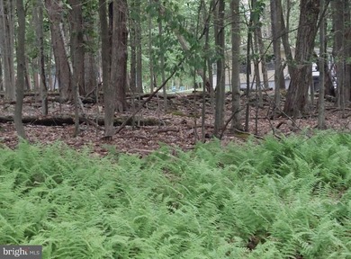 For sale is a surveyed and perc tested beautiful .8 acre lot in - photo 15