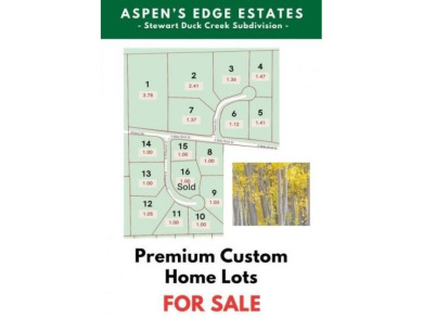 (private lake, pond, creek) Acreage For Sale in Duck Creek Village Utah