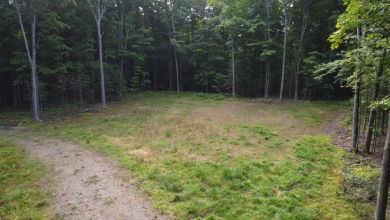 Lake Acreage Sale Pending in Crandon, Wisconsin