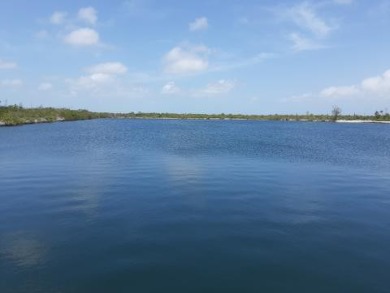 (private lake, pond, creek) Lot For Sale in Big Pine Key Florida