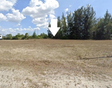 Prime Freshwater Canal Homesite Near Festival Park! This - photo 3