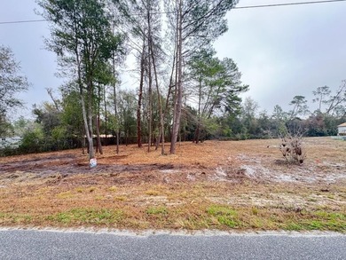 Lake Kathryn - Lake County Lot For Sale in Paisley Florida