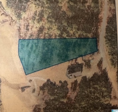 Lake Lot For Sale in Talladega, Alabama