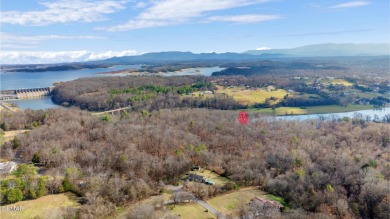 Lake Acreage For Sale in Kodak, Tennessee