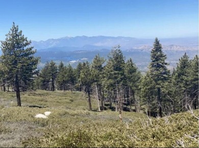 Green Valley Lake Lot For Sale in Big Bear City California