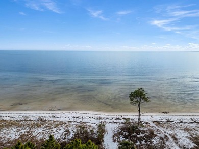 Stunning Beach House in St. Teresa, FL - Steps from the Beach! - photo 28