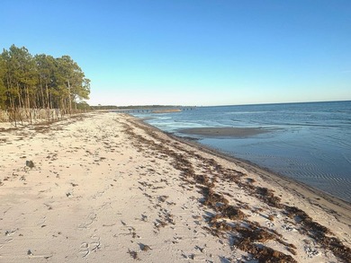 Stunning Beach House in St. Teresa, FL - Steps from the Beach! - photo 35
