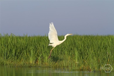Welcome to 601 6th Street #B on Tybee Island, a marsh-front - photo 39