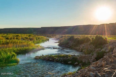 (private lake, pond, creek) Acreage For Sale in Littlefield Arizona