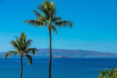 You Deserve To Own & Experience Your Oceanfront Paradise Today! - photo 4