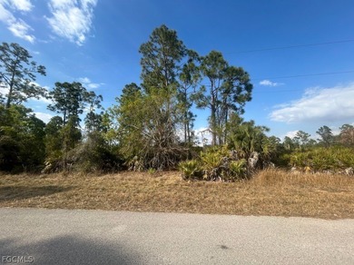 Lehigh Acres Area Lot For Sale in Lehigh Acres Florida