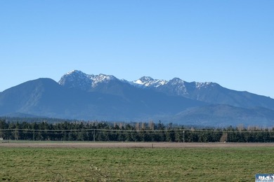 Beautiful & all encompassing views of the Olympic Mountains! - photo 12