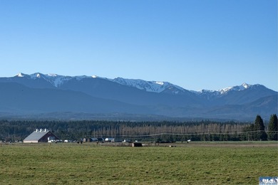 Beautiful & all encompassing views of the Olympic Mountains! - photo 13