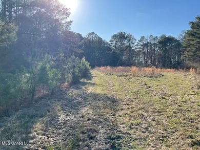 (private lake, pond, creek) Acreage For Sale in Brandon Mississippi