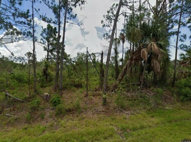 Port Charlotte Waterway Lakes Area Lot For Sale in Port Charlotte Florida