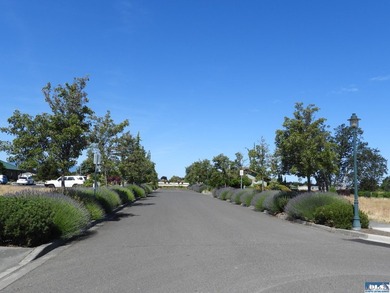 Sequim's Lifestyle District offers a great range of Health Care - photo 13
