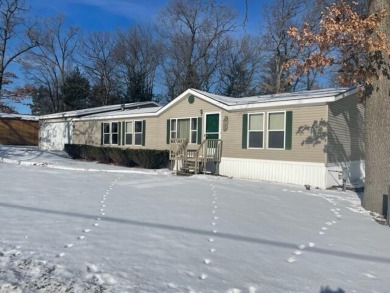 Long Lake - Ionia County Home For Sale in Orleans Michigan
