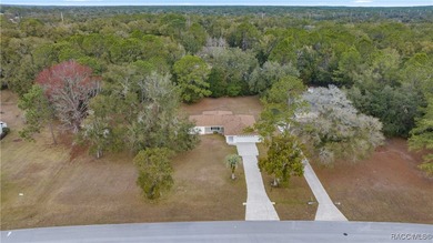 Spacious 3 bedroom, 2 bath home on oversized lot with Large - photo 28