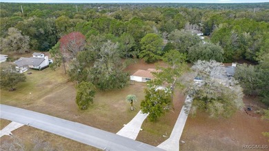 Spacious 3 bedroom, 2 bath home on oversized lot with Large - photo 29