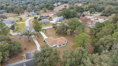Spacious 3 bedroom, 2 bath home on oversized lot with Large - photo 30