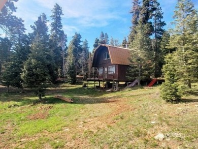 Navajo Lake Home For Sale in Duck Creek Village Utah