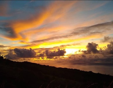 Set within the untouched beauty of Kipahulu, this rare 128-acre - photo 1