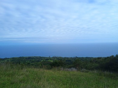 Set within the untouched beauty of Kipahulu, this rare 128-acre - photo 2