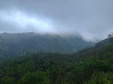 Set within the untouched beauty of Kipahulu, this rare 128-acre - photo 3