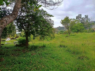 Set within the untouched beauty of Kipahulu, this rare 128-acre - photo 4