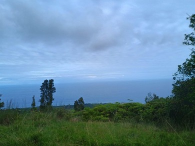 Set within the untouched beauty of Kipahulu, this rare 128-acre - photo 5