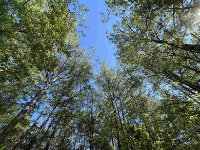 Lake Sam Rayburn  Acreage For Sale in Jasper Texas