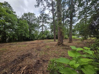 Lake Lot For Sale in Chandler, Texas